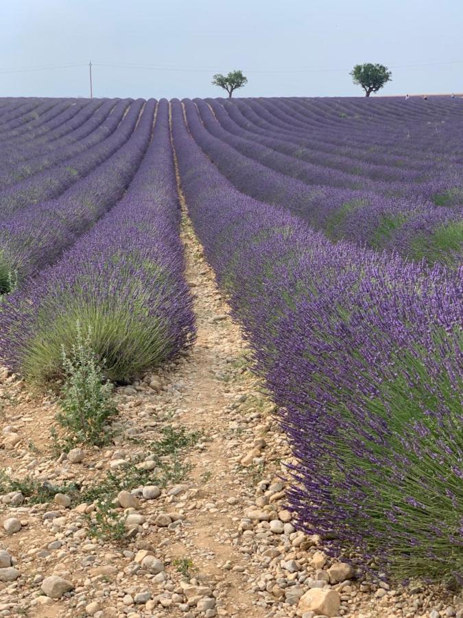 Studio Nuitee En Provence 2 Eguilles Luaran gambar